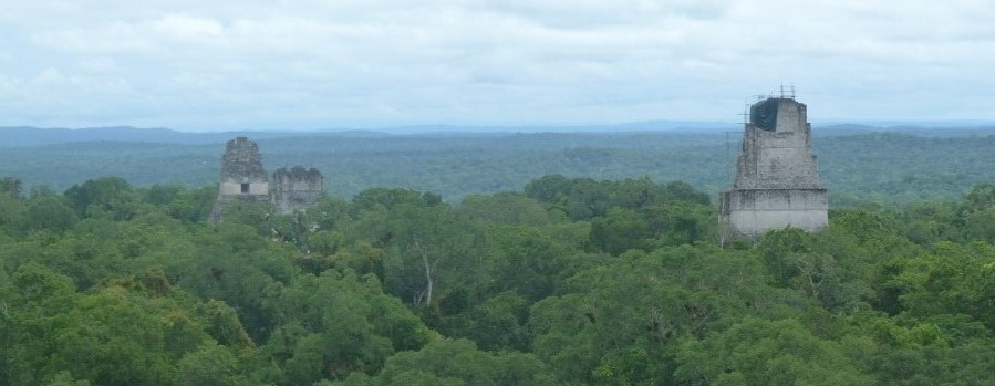 webassets/1tikal.jpg